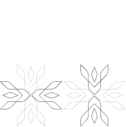 home-page-pattern.webp